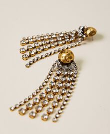 Earrings with rhinestone fringes Crystal Woman 222TA401B-01
