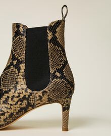 Animal print leather ankle boots Dark Leather Python Print Woman 212TCT082-03
