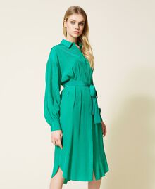 Vestido camisero de jacquard animal print Verde «Pepper Mint» Mujer 222TP2098-03