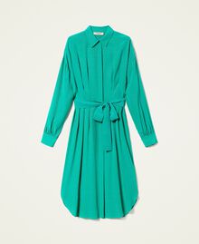 Vestido camisero de jacquard animal print Verde «Pepper Mint» Mujer 222TP2098-0S
