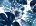 Maxikleid aus bedrucktem Popeline Print Tropical Tupfen Blau / Vichy Frau 201TP2552-C