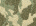 Cape en drap camouflage et boucl&eacute; Jacquard Camouflage Femme 192TT2503-C