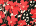 Floral georgette dress Peach / &ldquo;Cherry&rdquo; Red Flowers Animal Print Woman 202TP2522-C